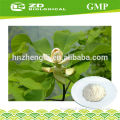 supply 100% Nature Magnolol Honokiol ,Magnolia Bark Extract Magnolol